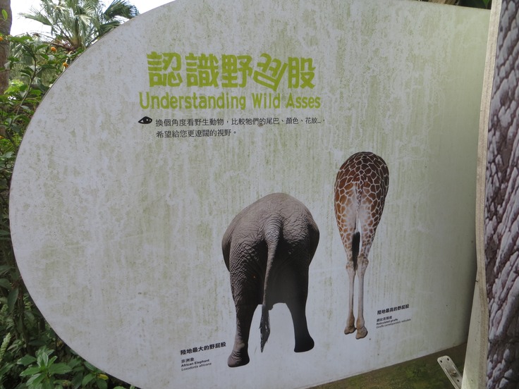 Taiwan051