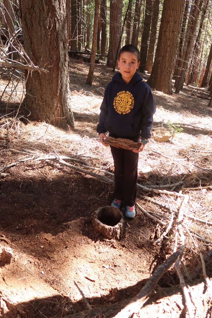 UNADJUSTEDNONRAW thumb 2aed